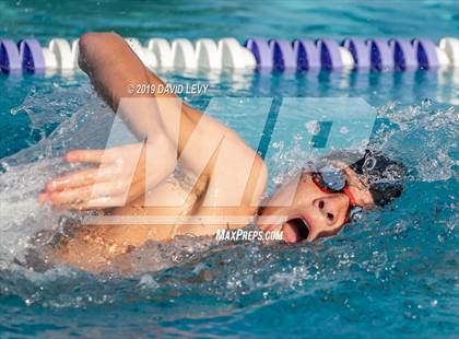 Thumbnail 1 in Basha @ Hamilton photogallery.