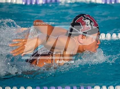 Thumbnail 3 in Basha @ Hamilton photogallery.