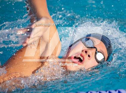 Thumbnail 1 in Basha @ Hamilton photogallery.