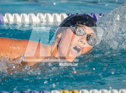 Thumbnail 2 in Basha @ Hamilton photogallery.