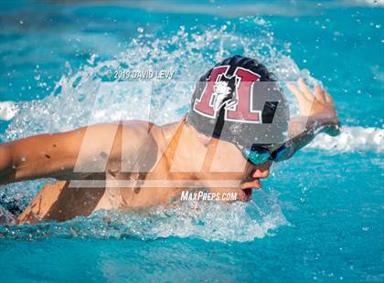 Thumbnail 1 in Basha @ Hamilton photogallery.