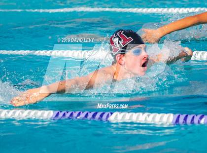 Thumbnail 2 in Basha @ Hamilton photogallery.
