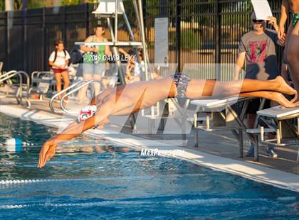 Thumbnail 2 in Basha @ Hamilton photogallery.