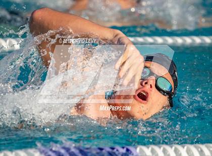 Thumbnail 3 in Basha @ Hamilton photogallery.