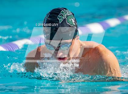 Thumbnail 2 in Basha @ Hamilton photogallery.