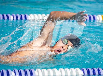 Thumbnail 3 in Basha @ Hamilton photogallery.