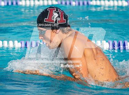 Thumbnail 1 in Basha @ Hamilton photogallery.