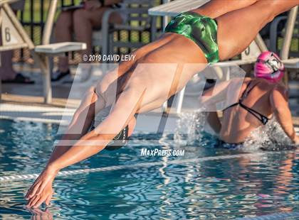 Thumbnail 1 in Basha @ Hamilton photogallery.