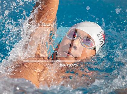 Thumbnail 2 in Basha @ Hamilton photogallery.