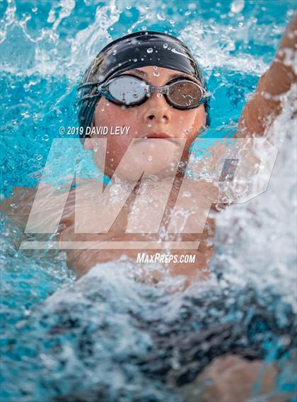 Thumbnail 2 in Basha @ Hamilton photogallery.