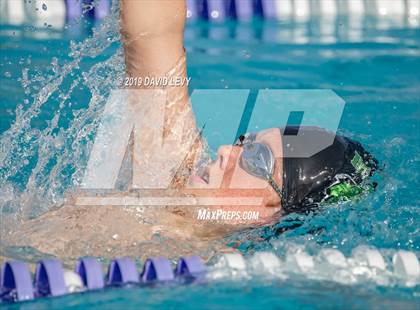 Thumbnail 3 in Basha @ Hamilton photogallery.