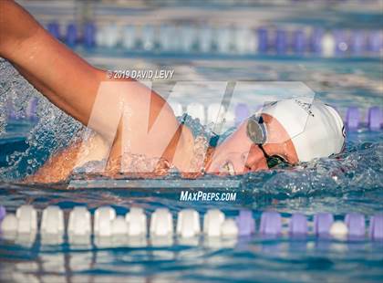 Thumbnail 2 in Basha @ Hamilton photogallery.