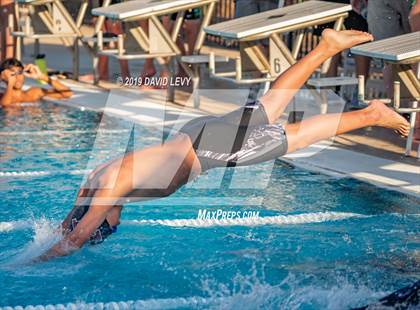 Thumbnail 2 in Basha @ Hamilton photogallery.