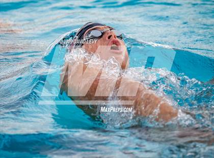 Thumbnail 1 in Basha @ Hamilton photogallery.