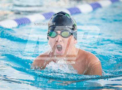 Thumbnail 1 in Basha @ Hamilton photogallery.