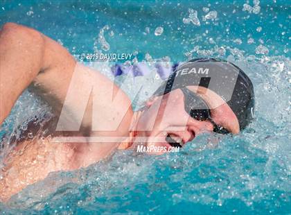 Thumbnail 1 in Basha @ Hamilton photogallery.