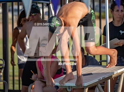 Thumbnail 2 in Basha @ Hamilton photogallery.