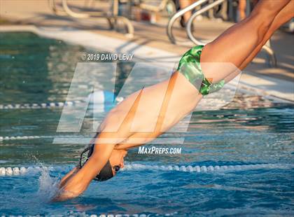 Thumbnail 1 in Basha @ Hamilton photogallery.