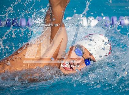 Thumbnail 1 in Basha @ Hamilton photogallery.