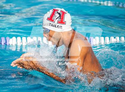 Thumbnail 1 in Basha @ Hamilton photogallery.