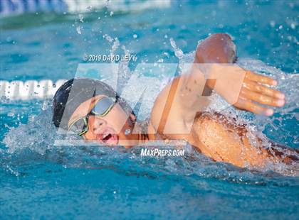Thumbnail 3 in Basha @ Hamilton photogallery.