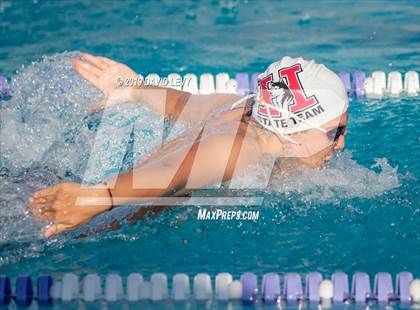 Thumbnail 2 in Basha @ Hamilton photogallery.