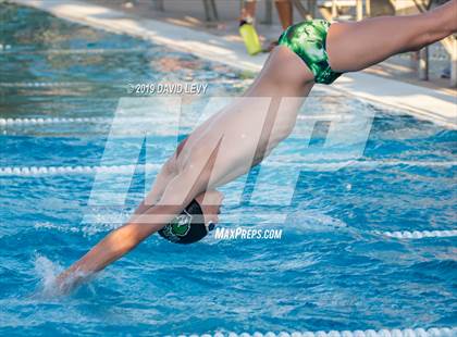 Thumbnail 3 in Basha @ Hamilton photogallery.