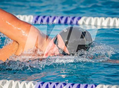 Thumbnail 3 in Basha @ Hamilton photogallery.