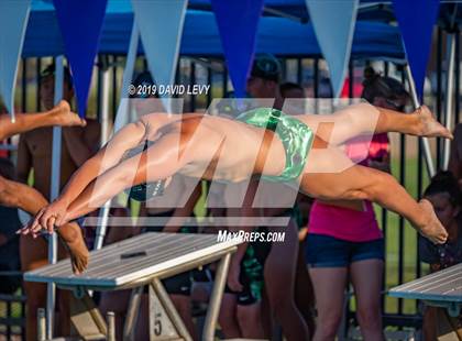 Thumbnail 2 in Basha @ Hamilton photogallery.