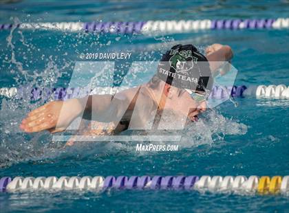 Thumbnail 1 in Basha @ Hamilton photogallery.
