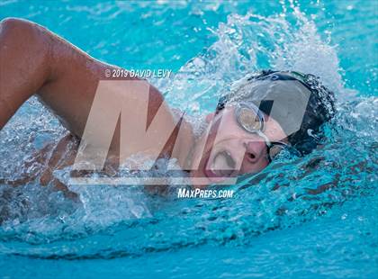 Thumbnail 1 in Basha @ Hamilton photogallery.