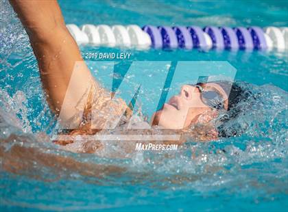Thumbnail 1 in Basha @ Hamilton photogallery.