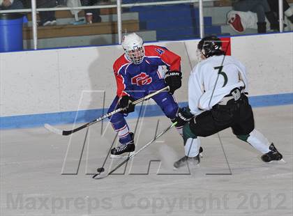 Thumbnail 3 in Cherry Creek @ Mountain Vista photogallery.