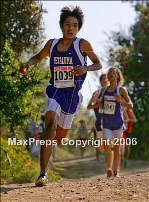 Thumbnail 1 in NCS Cross Country Championships (D2 Boys) photogallery.