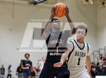 Thumbnail 3 in Pinnacle @ Basha photogallery.