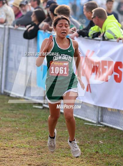 Thumbnail 3 in CIF Central Section Cross Country Championships (Girls D5 Race) photogallery.
