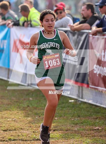 Thumbnail 3 in CIF Central Section Cross Country Championships (Girls D5 Race) photogallery.