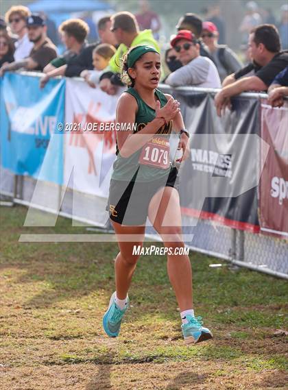 Thumbnail 1 in CIF Central Section Cross Country Championships (Girls D5 Race) photogallery.