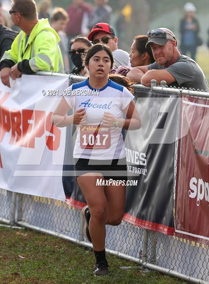 Thumbnail 1 in CIF Central Section Cross Country Championships (Girls D5 Race) photogallery.