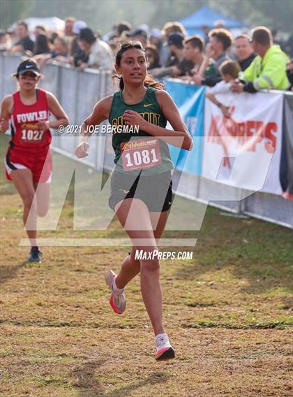 Thumbnail 3 in CIF Central Section Cross Country Championships (Girls D5 Race) photogallery.