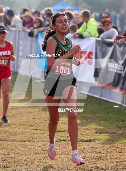 Thumbnail 1 in CIF Central Section Cross Country Championships (Girls D5 Race) photogallery.