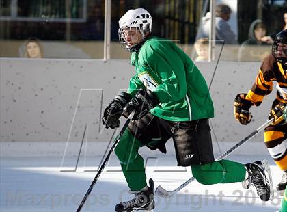 Thumbnail 1 in Oakville vs. Lindbergh (St. Louis Winter Classic) photogallery.