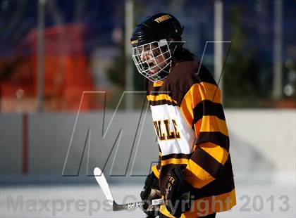 Thumbnail 1 in Oakville vs. Lindbergh (St. Louis Winter Classic) photogallery.