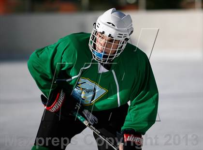 Thumbnail 2 in Oakville vs. Lindbergh (St. Louis Winter Classic) photogallery.