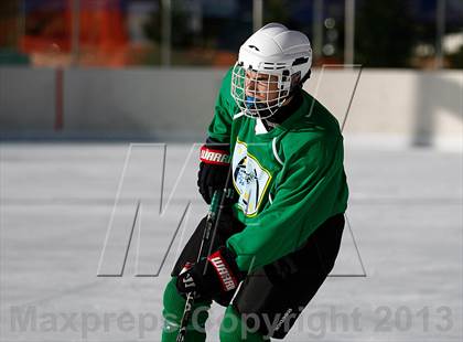 Thumbnail 2 in Oakville vs. Lindbergh (St. Louis Winter Classic) photogallery.