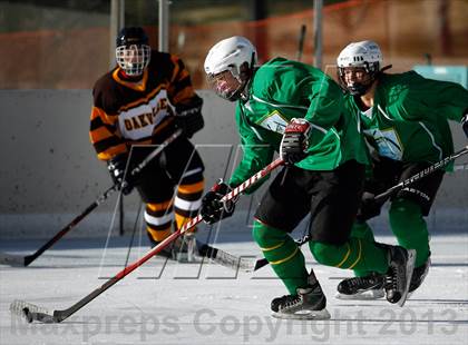 Thumbnail 1 in Oakville vs. Lindbergh (St. Louis Winter Classic) photogallery.