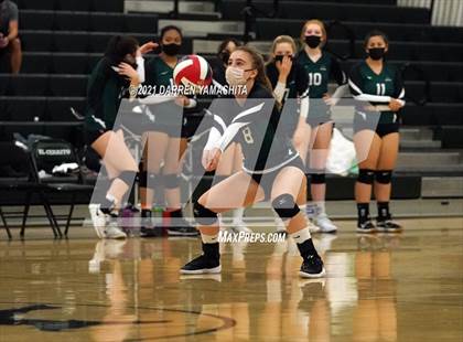 Thumbnail 2 in Alameda @ El Cerrito (CIF NCS D2 Playoffs) photogallery.