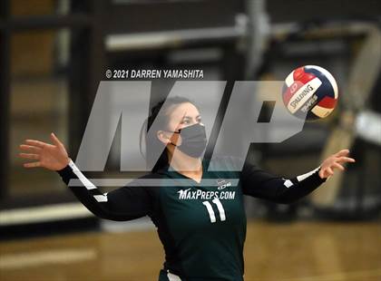 Thumbnail 2 in Alameda @ El Cerrito (CIF NCS D2 Playoffs) photogallery.