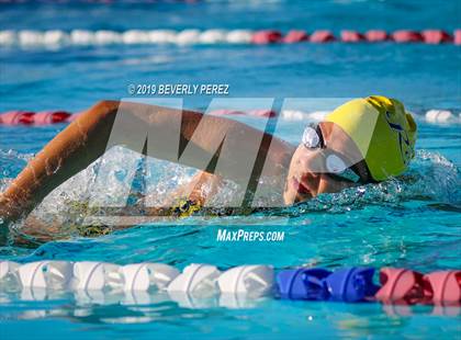 Thumbnail 2 in Knight @ Quartz Hill photogallery.