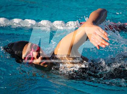 Thumbnail 2 in Knight @ Quartz Hill photogallery.